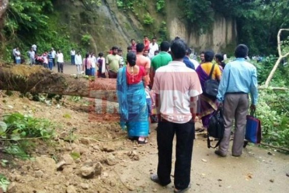 Heavy rain caused damages: Landslides blocked Amarpur-Udaipur road for hours Heavy rain caused damages: Landslides blocked Amarpur-Udaipur road for hours